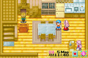 Harvest Moon 3 (Multiscreen)